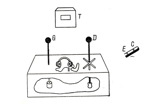 Рис. 1. Упрощенная схема звездчатого различиемера Дункана )1953). Аппарат состоит из вертикального табло Т, позволяющего предъявлять стимулы (светящиеся изображения или любые другие визуальные стимулы), и пульта ответов, на котором имеется два рычага. Правый рычаг D - самый важный элемент прибора - может перемещаться из нейтрального положения по вырезанным в пульте пазам. Фигура, образуемая этими пазами, может быть различной в разных модификациях прибора (на данном рисунке она имеет форму шестиконечной звезды). Внутри каждого паза имеется два контакта: Е - в начале паза - позволяет регистрировать ошибки, а С - в конце паза - правильные ответы. Рычаг G дает возможность осуществлять простые контакты. Наушники позволяют экспериментатору передавать звуковые сигналы или инструкции (по Дункану, 1953, стр. 2)